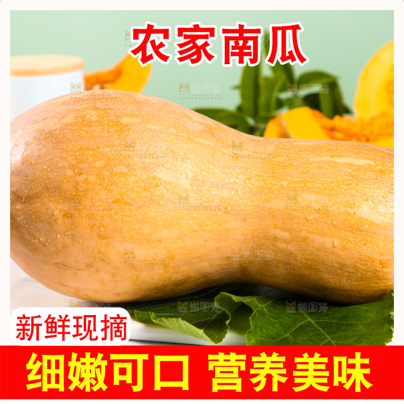石板上的老南瓜