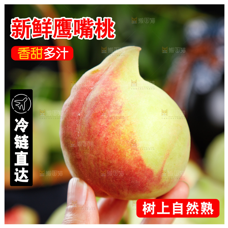 手拿鹰嘴桃