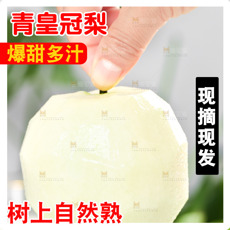 浅底上手拿削皮的砀山青皮梨