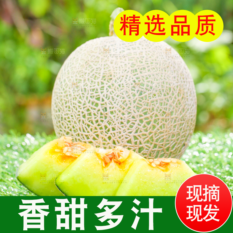 草地上放着切开的网纹蜜瓜