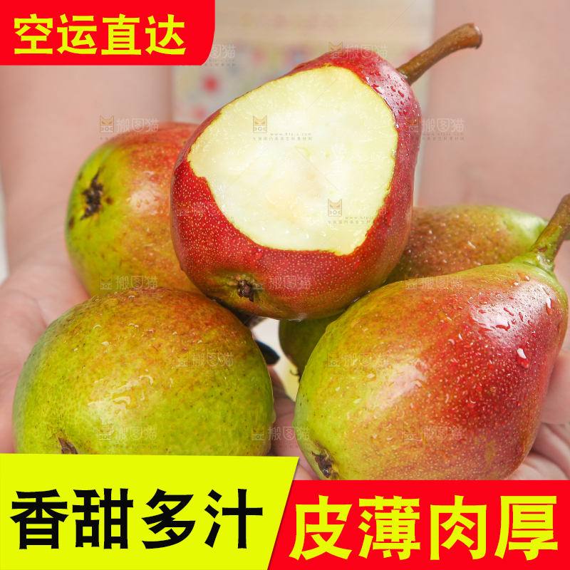 手拿太婆梨