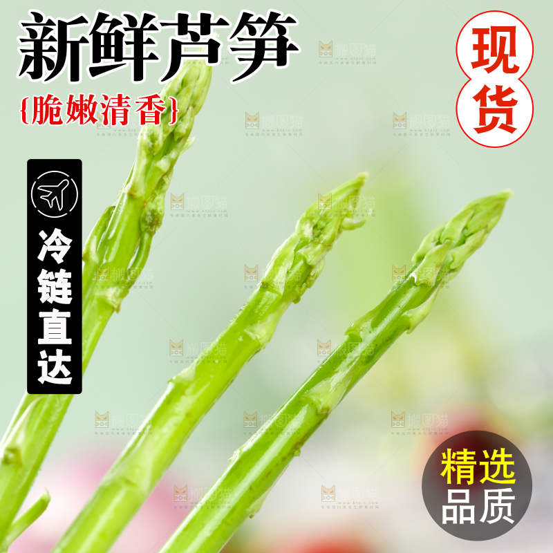 浅底上的青芦笋