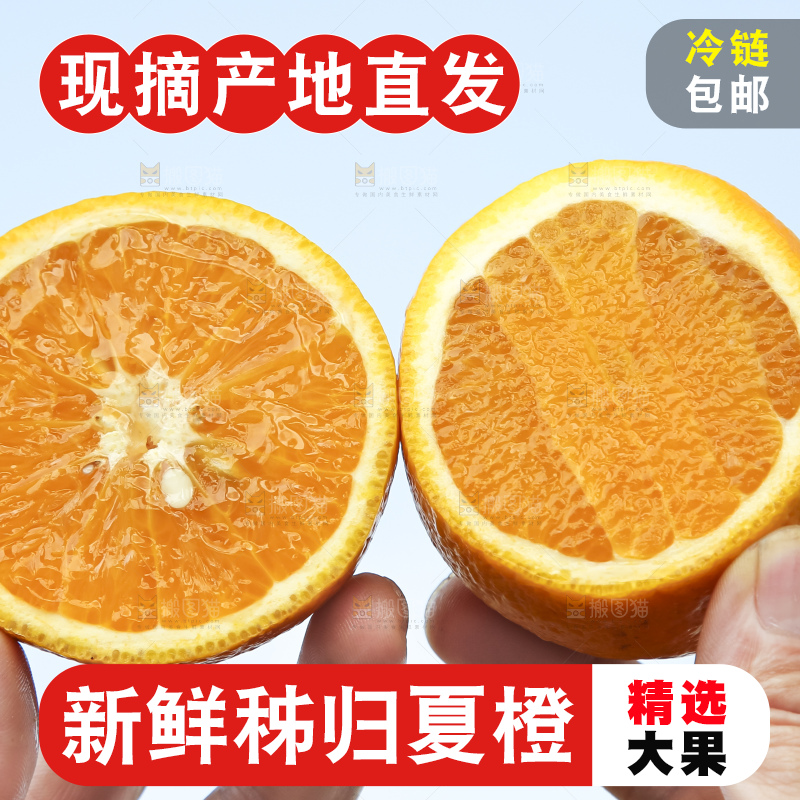 手拿切开的夏橙