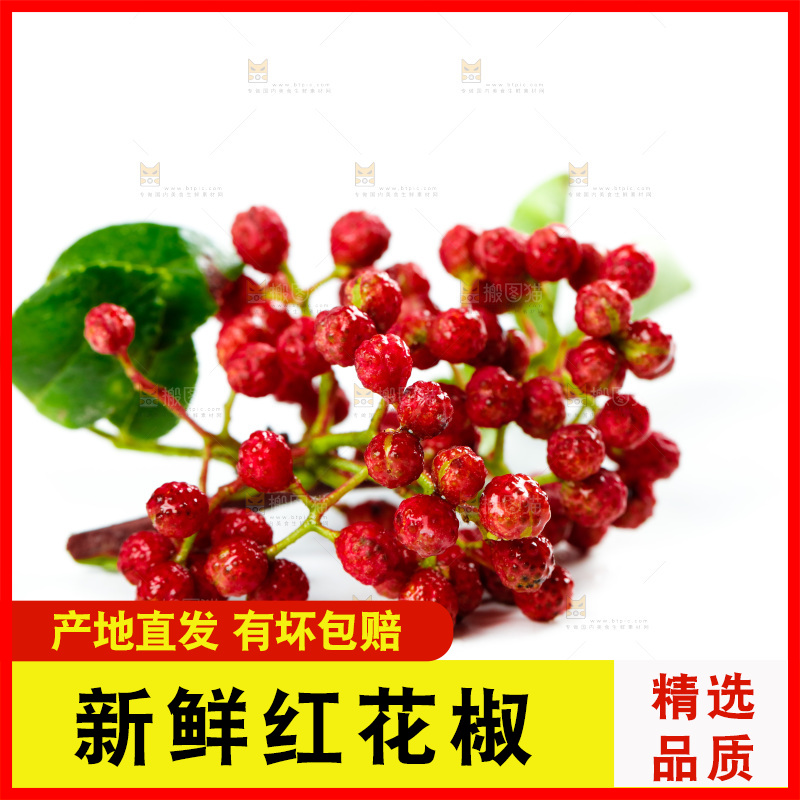 白底上的新鲜花椒