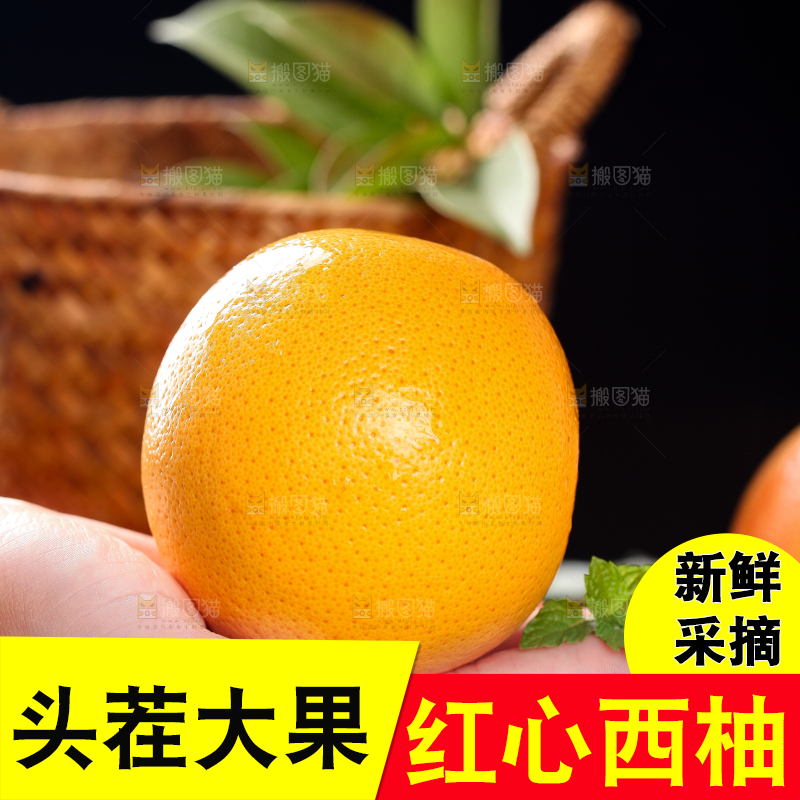手拿西柚