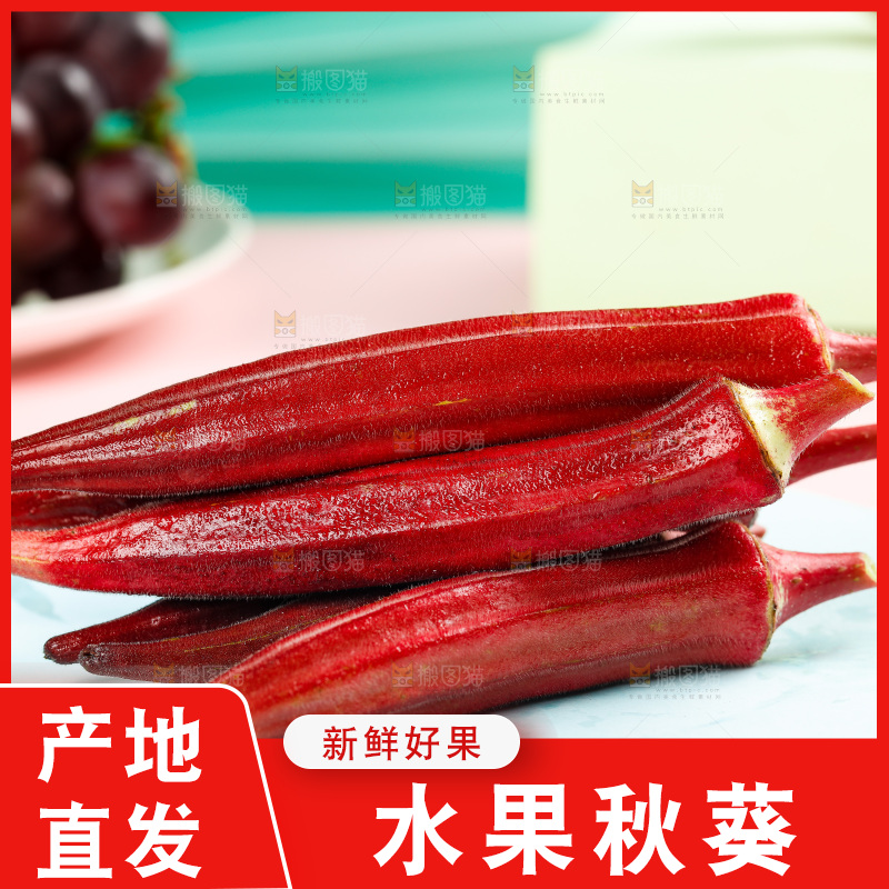 浅底上的红色秋葵