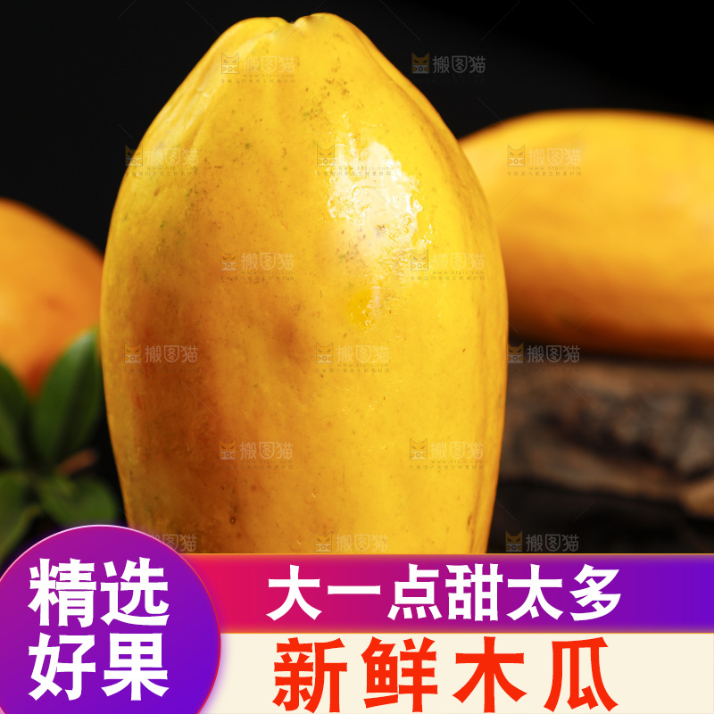 黑底上的雷州冰糖心木瓜