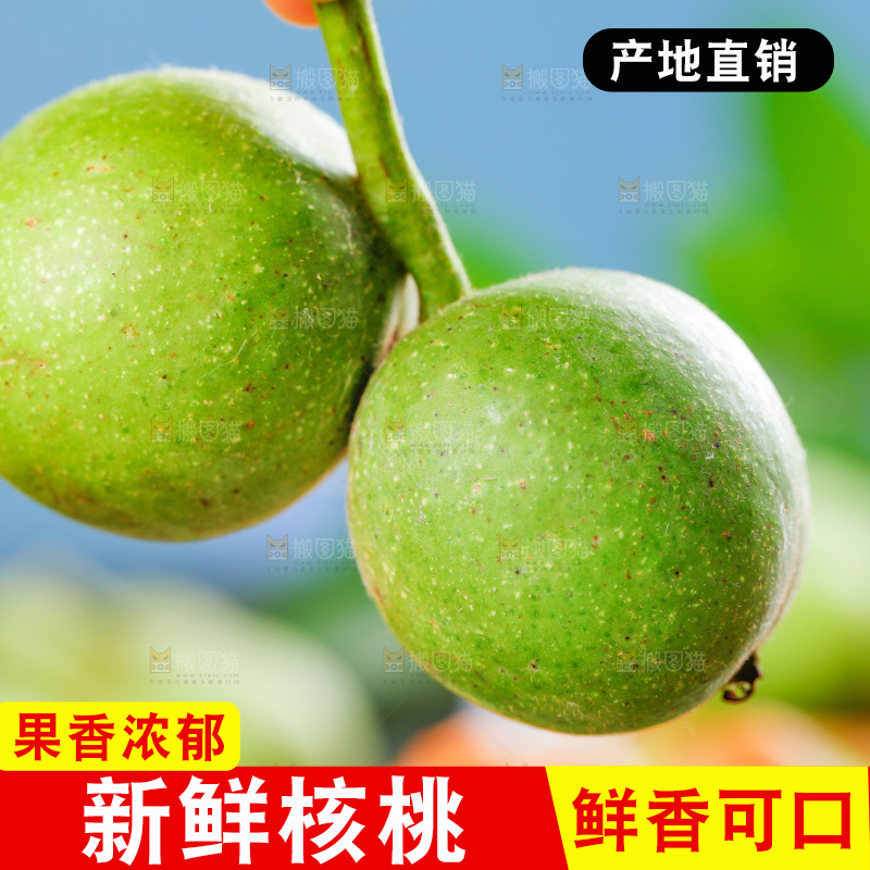 手拿青皮核桃