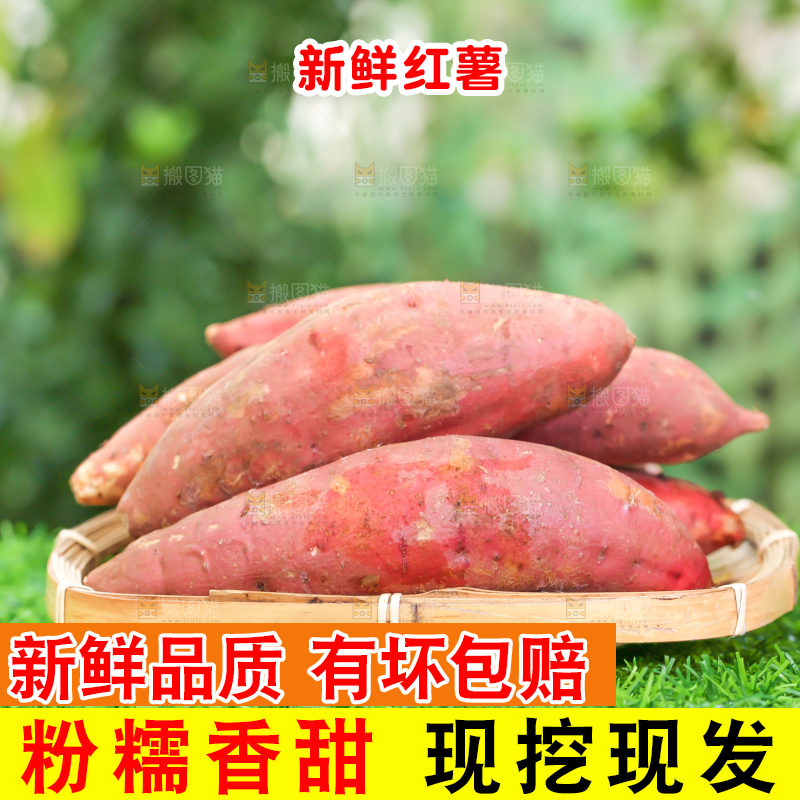 草地上放着一盘红心蜜薯