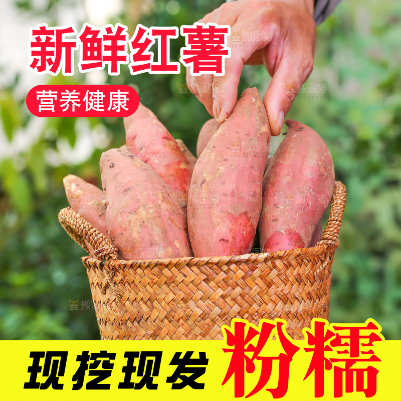 草地上手里拿着红薯