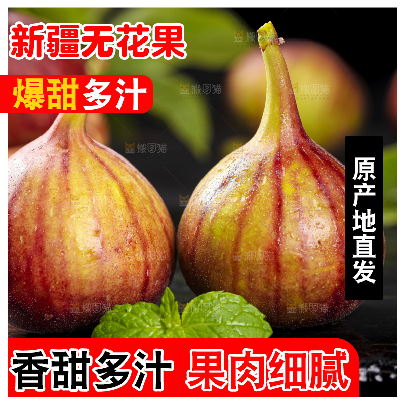黑底上的紫皮无花果