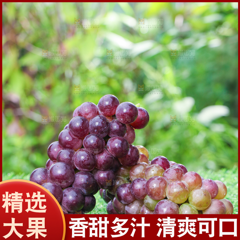草地上的新鲜葡萄