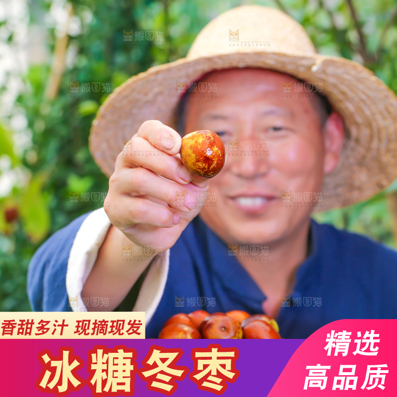 农民手里拿着冬枣