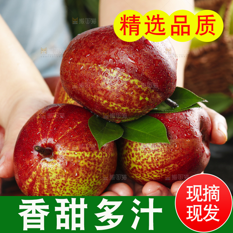手拿彩虹香梨