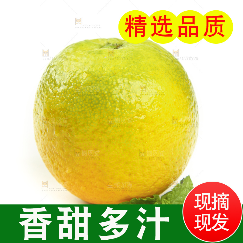 白底上的秭归夏橙