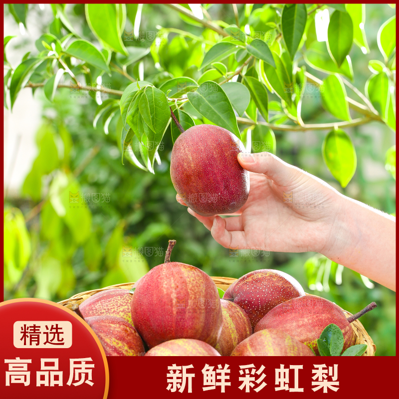 手拿彩虹梨