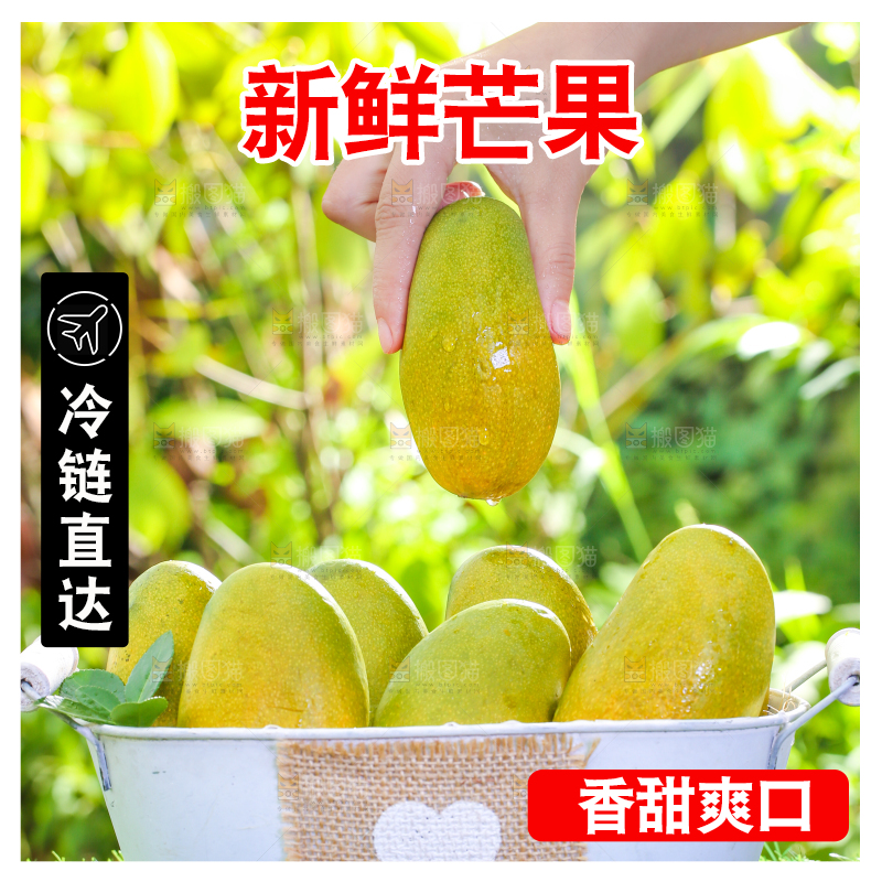 手拿攀枝花椰香芒