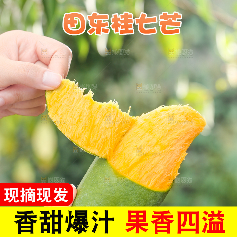 手拿剥皮的桂七芒