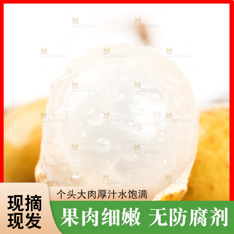 白底上的新鲜龙眼