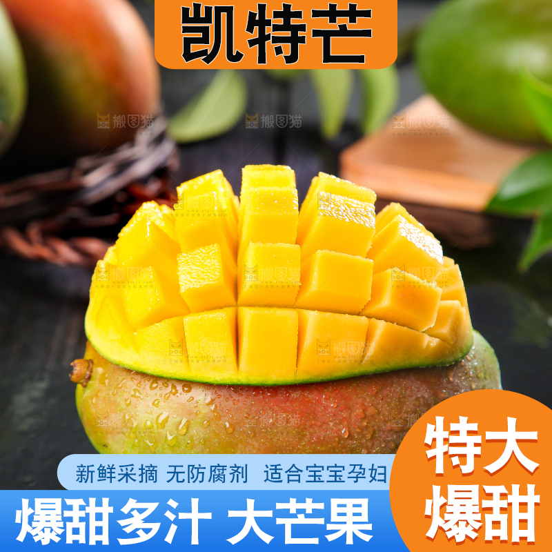 凯特芒主图