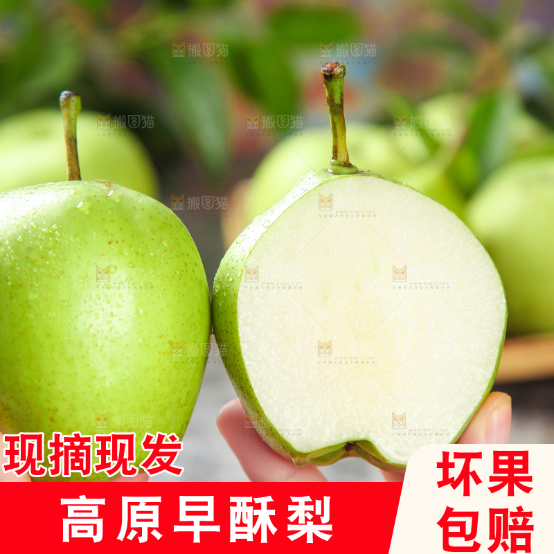 手拿切开的早酥梨
