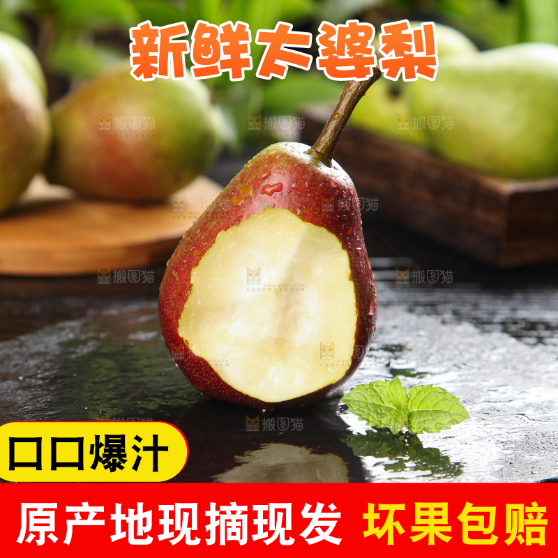 深底上的烟台太婆梨