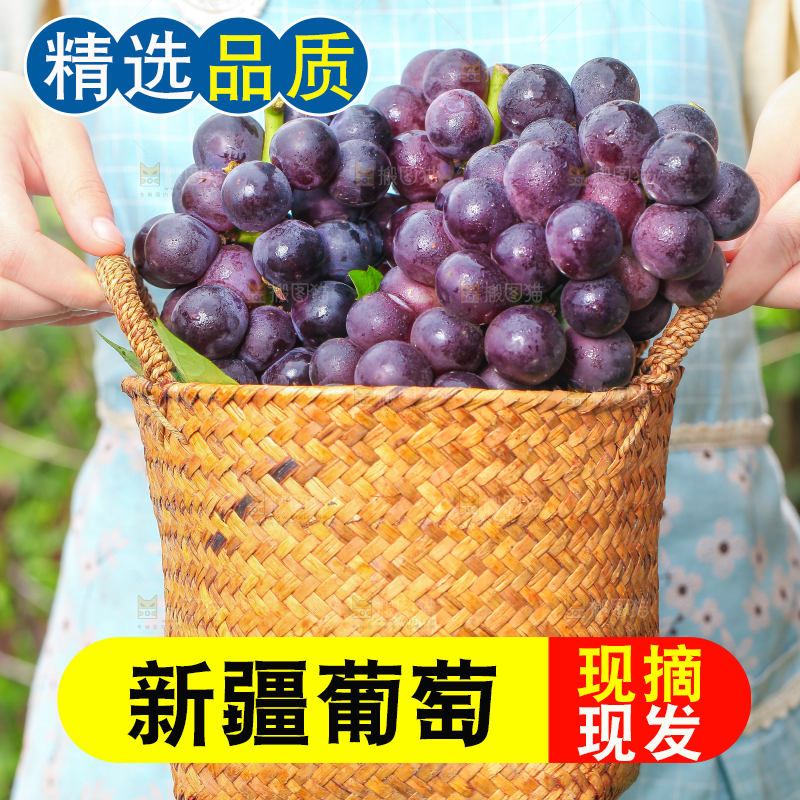 手端一筐巨峰葡萄