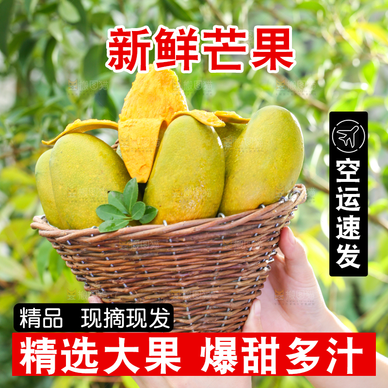 手拿一筐海南鸡蛋芒