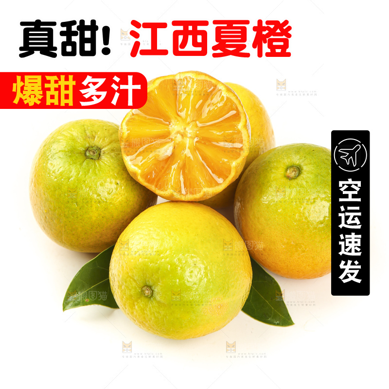 切开的夏橙放在白底上