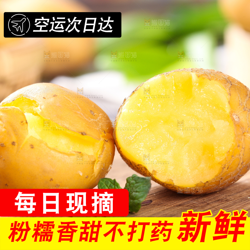 木底上的云南黄心小土豆