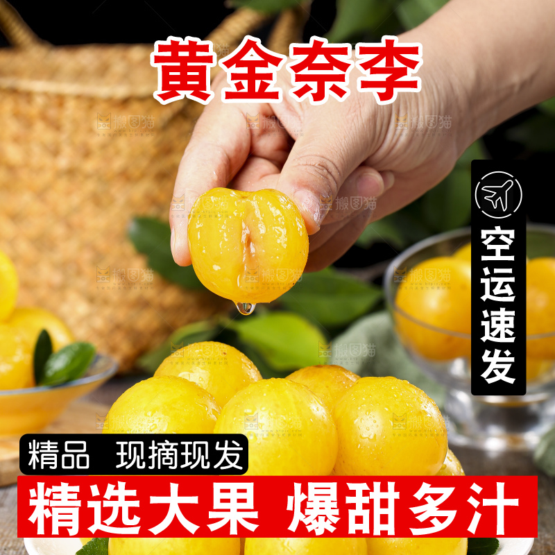 手拿黄金奈李