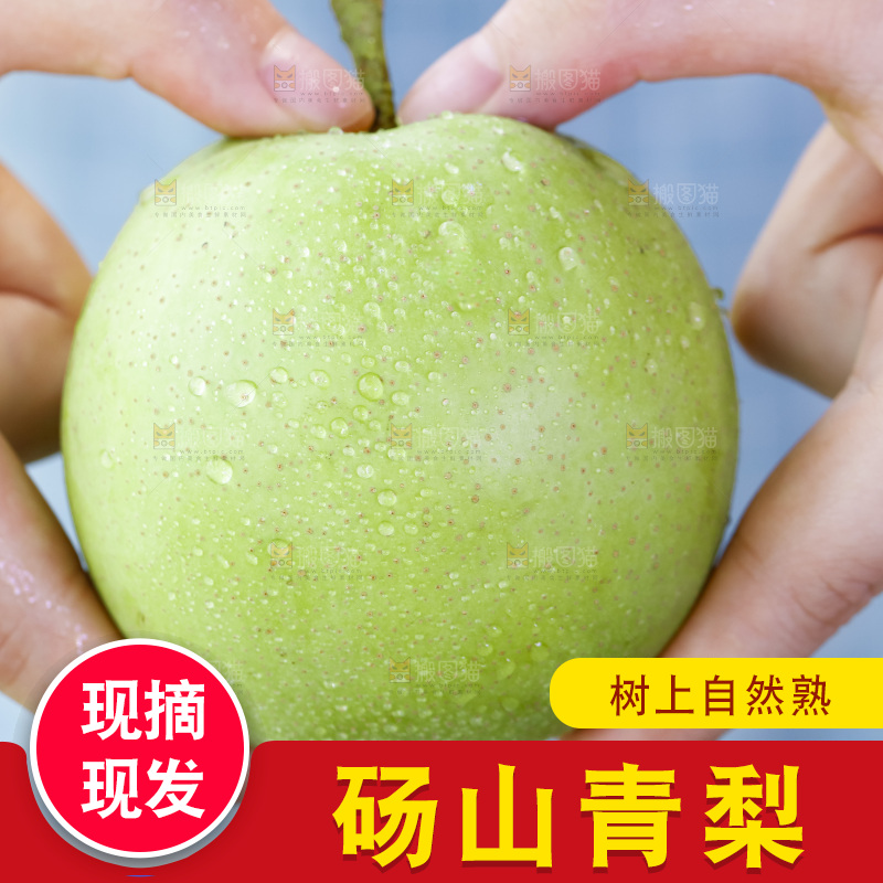 手拿砀山青皮翠冠梨