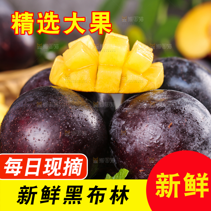 木底上的智利黄肉黑布林
