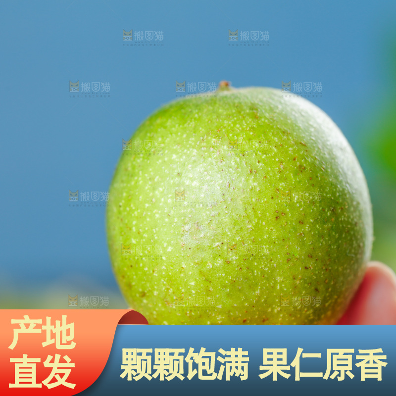手拿青皮核桃
