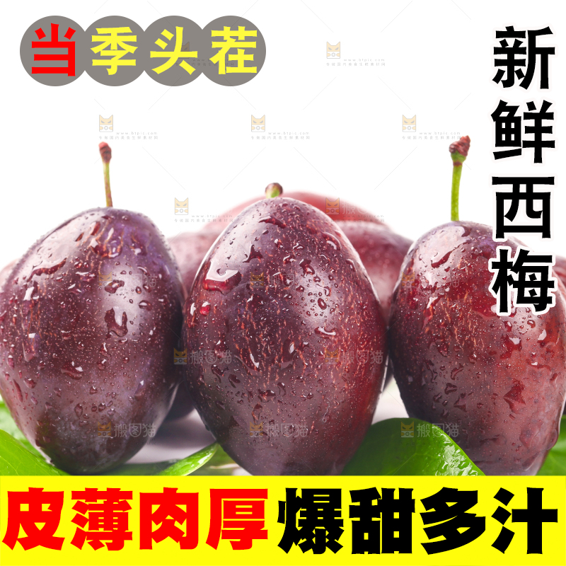 树叶上的西梅