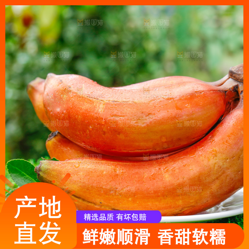 草地上的红皮香蕉