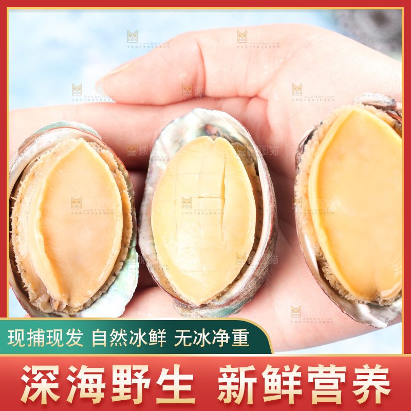木底上放着鲜冻鲍鱼