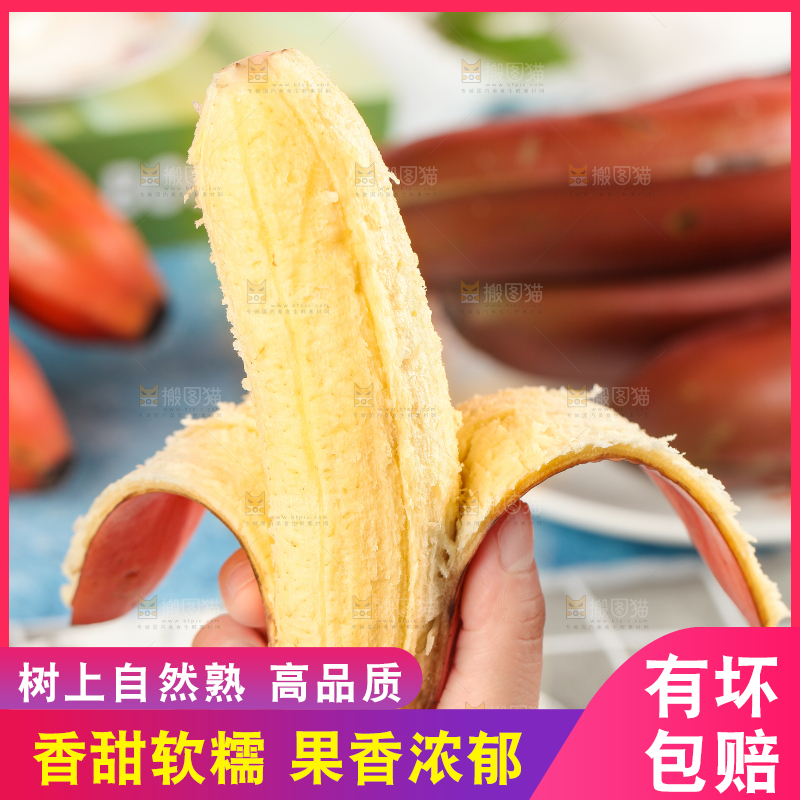 浅底上手拿剥皮的红皮香蕉