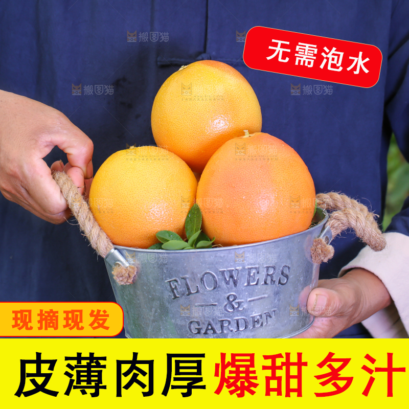 手里拿着红心西柚