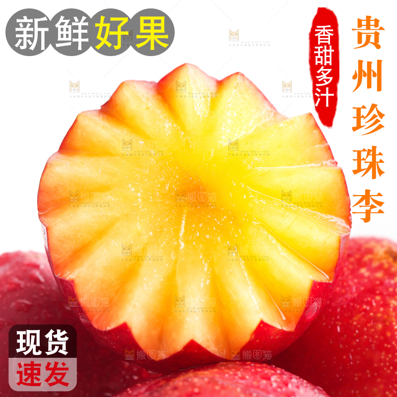 白底上的珍珠李