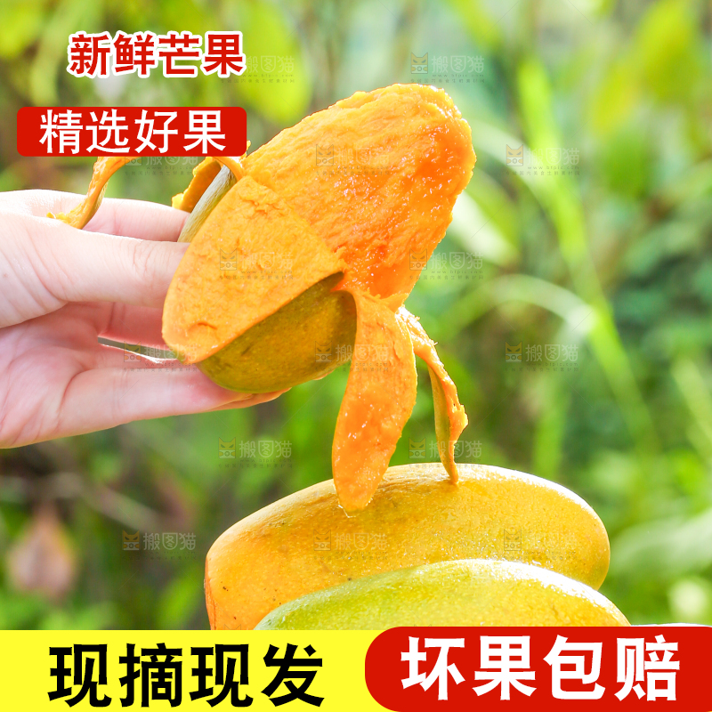 手拿剥皮的椰香芒