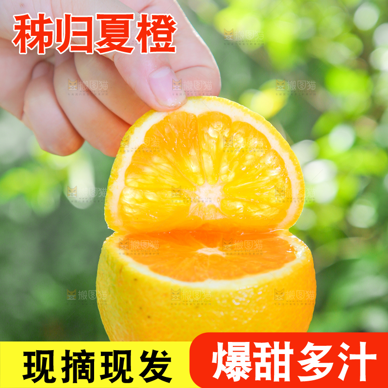 手拿秭归夏橙