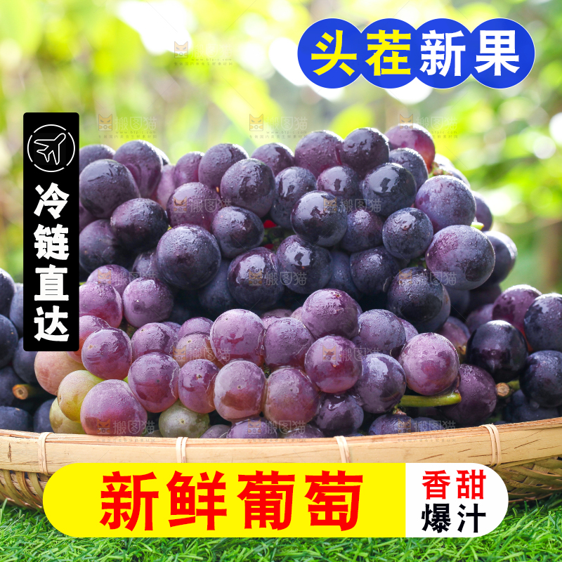 草地上放着一盘巨峰葡萄