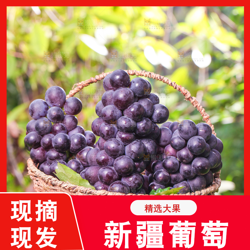 草地上放着一筐巨峰葡萄