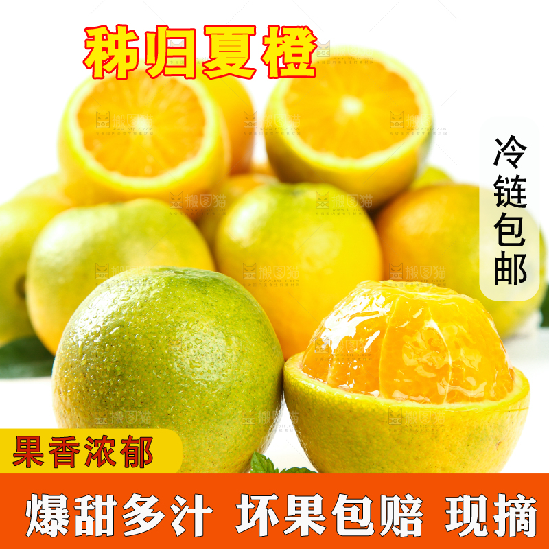 白底上放着切开的夏橙