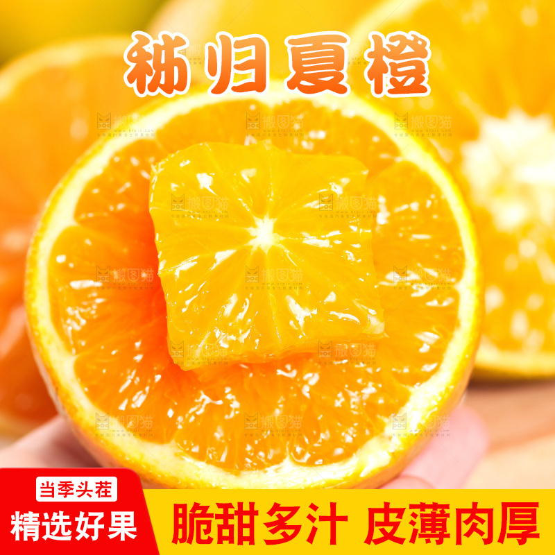 手拿切开的秭归夏橙