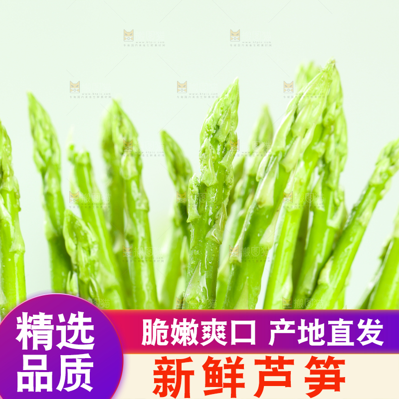 浅底上的青芦笋