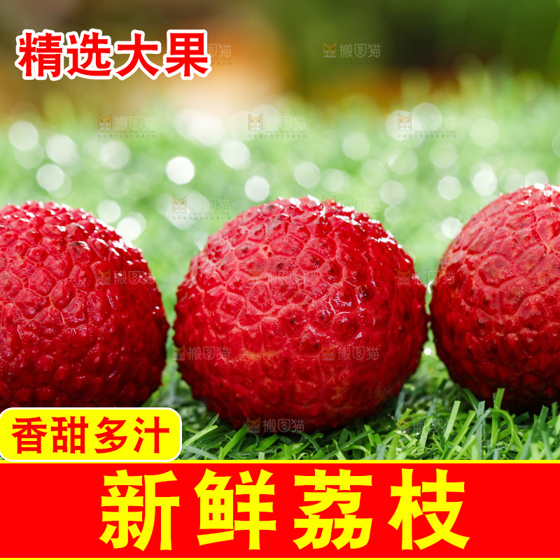 草地上的荔枝