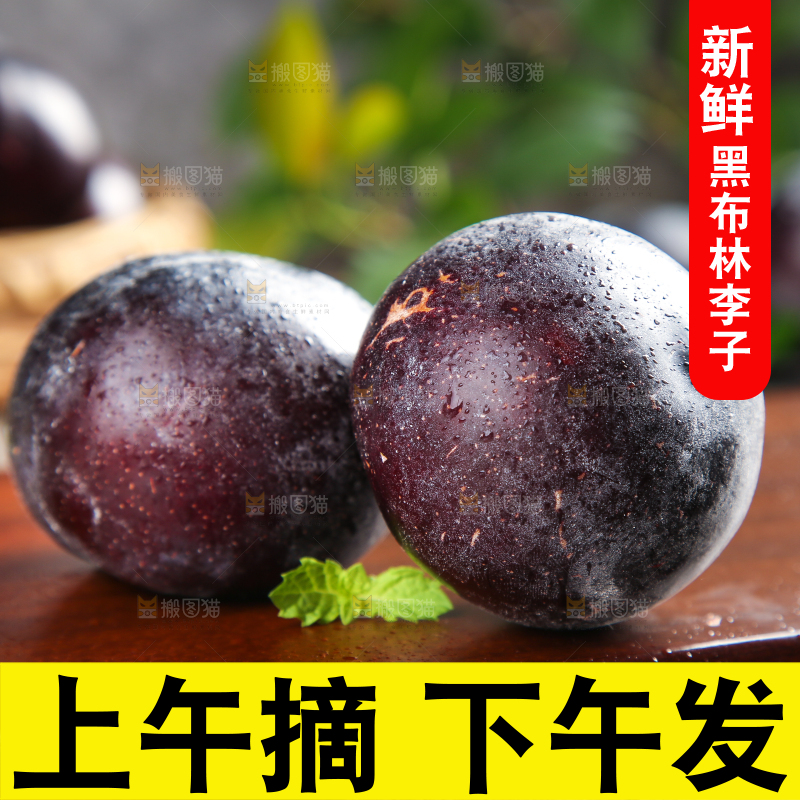 木底上放着智利黑布林