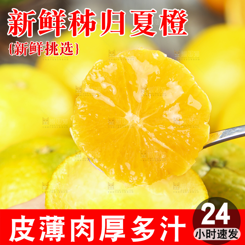 勺子里的夏橙果肉